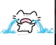 Sad kitty