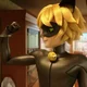 Cat Noir