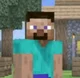 MINECRAFT STEVEs