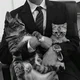 Albert Mafia