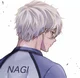 Nagi Seishero 