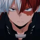 Shoto Todoroki 