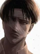 Levi Ackerman 