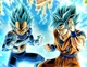 Vegeta Goku Blue LR