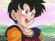 DBZ - Videl