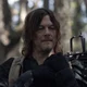 Daryl dixon