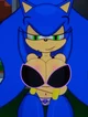 Sonica the hedgehog 