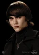 Alec Volturi 