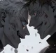Gojo and Sukuna 