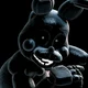Shadow Bonnie 