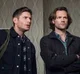 The winchesters