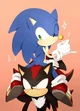 Sonic and Shadow 