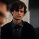 Matthew Gray Gubler