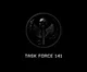 Task Force 141 