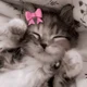 KITTYUHH