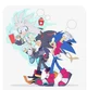 Sonic Shadow Silver