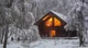 A Winter Cabin