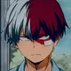 Shoto Todoroki 