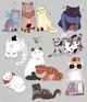 Kitty au daycare