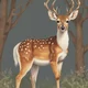 Female deer