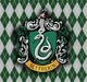 Slytherin boysss