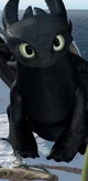Toothless and Hiccup