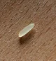 Grain of Rice