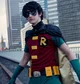 Titans Real Robin