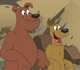 ace and rocco