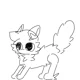 Random cat