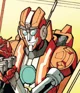 Rung IDW 
