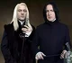 Lucius y Severus