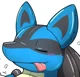 Lucario the Pool Toy