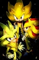 The Hedgehog Trio