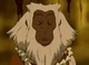 Baboon Spirit
