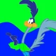 Ben the roadrunner