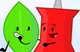 leafy and pin