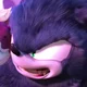 Sonic The Werehog