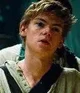 Newt