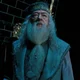 Albus Dumbledore