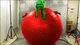 Tomato AnnaSophia