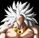 Platinium Broly 