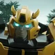 Bumblebee 