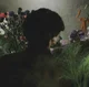 The plant boy