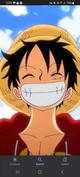 Captain Luffy