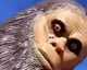 TADC
