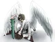 JDH Angel