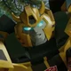 TFE Bumblebee