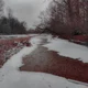 Nieve con sangre 