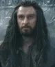 Thorin Oakenshield